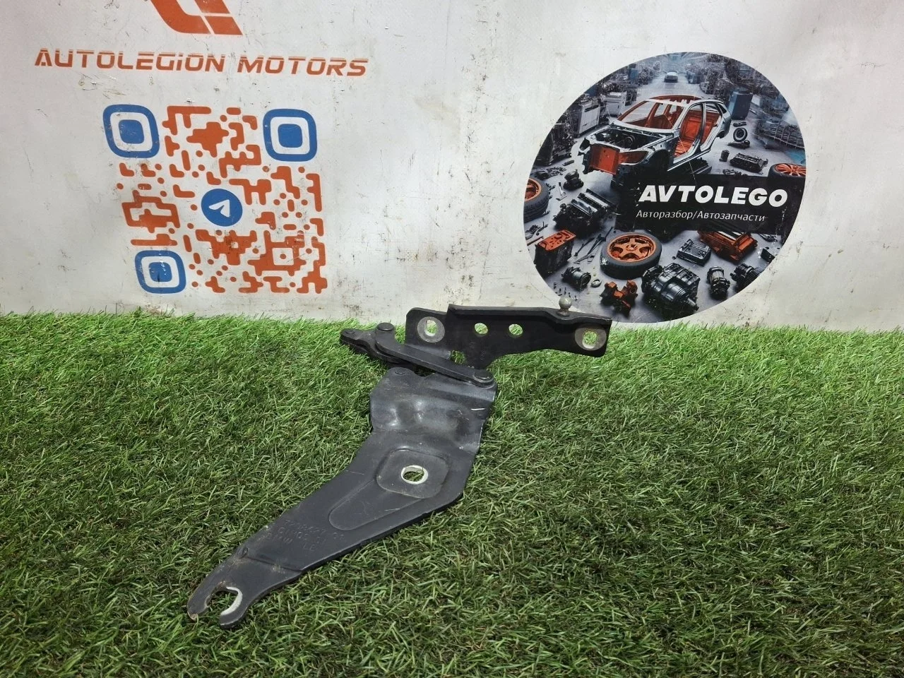 Петля капота BMW X6 2011 41007198617 E71 N63, левая