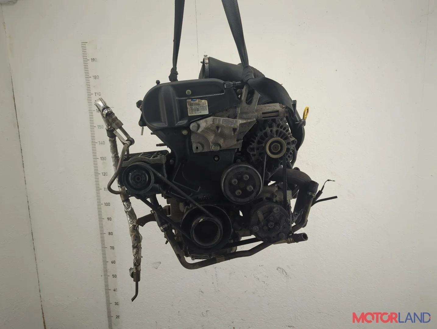 Двигатель (ДВС) Ford Fusion 2002-2012 КПП 5-ст.мех.(МКПП) FXJA, FXJB, FXJC Бензин 1.4 л Инжектор