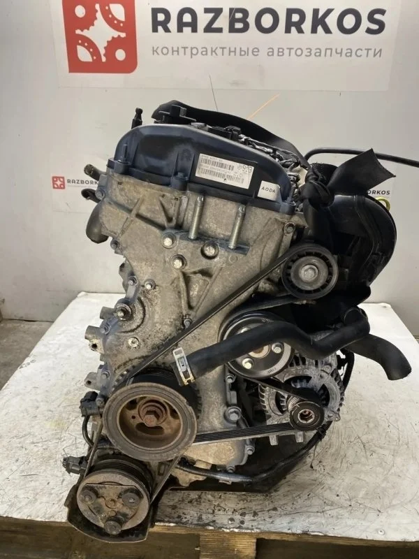 Двигатель Ford Focus 2 1319917 AODA