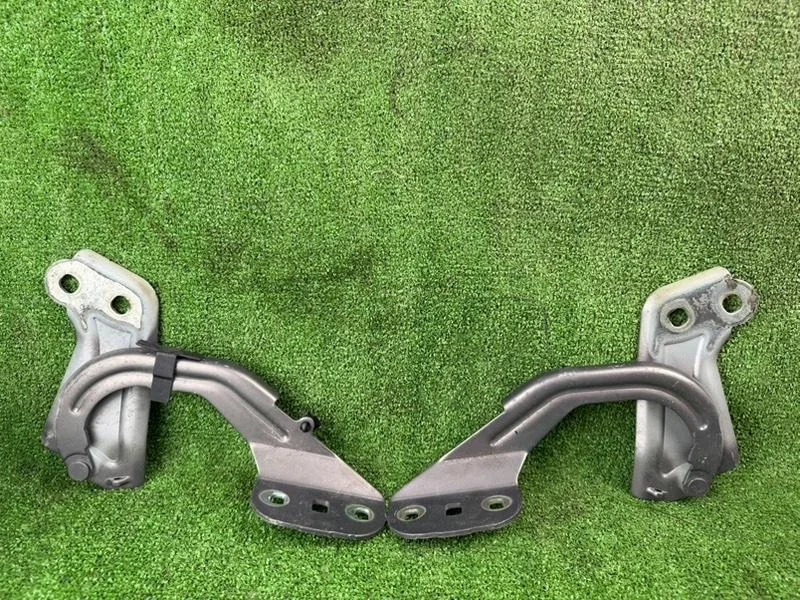 Петли капота комплект Ford Focus 2015 3
