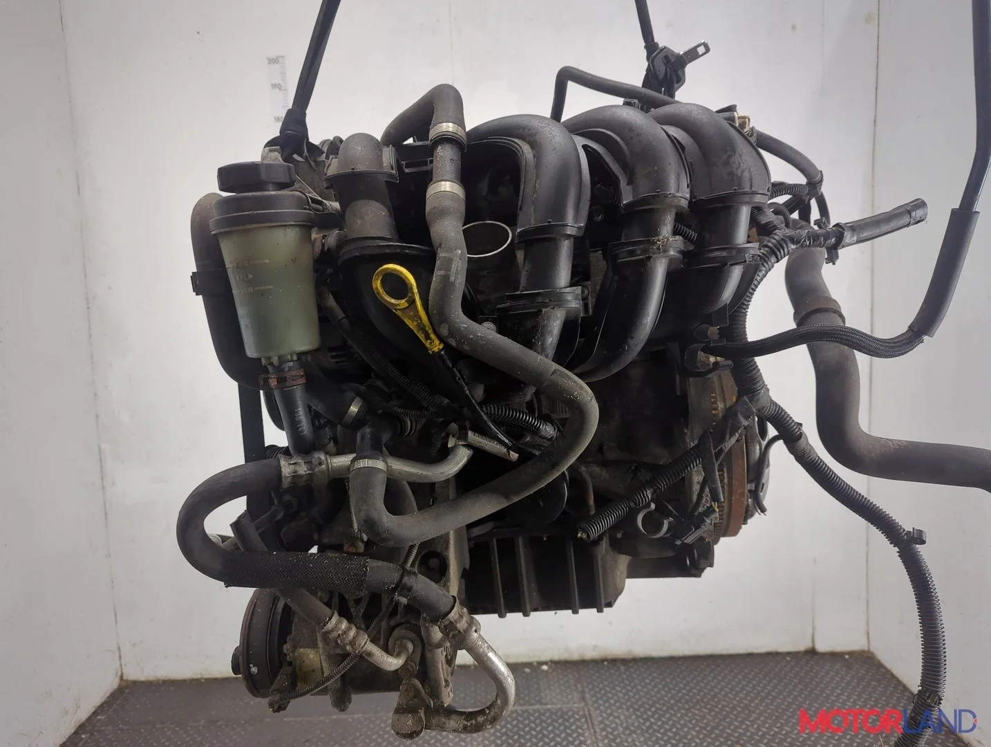 Двигатель (ДВС) Ford Focus 2 2008-2011 КПП 5-ст.мех.(МКПП) SHDA, SHDC Бензин 1.6 л Инжектор