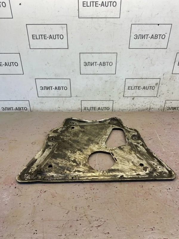 Защита двигателя BMW X5 2008 31106786568 E70 4.8