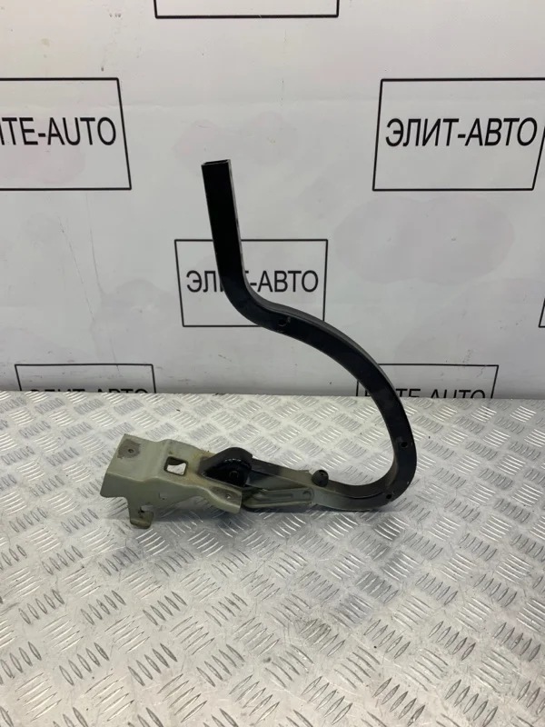 Петля багажника KIA Optima 2019 79210D4000 4 2.0, левая