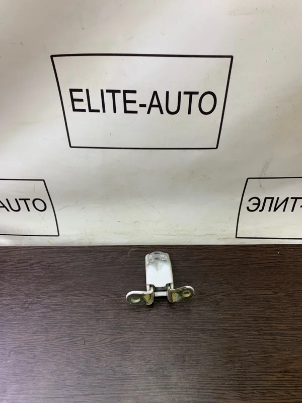 Петля двери KIA K5 2022 793102E000 2.0, задняя левая