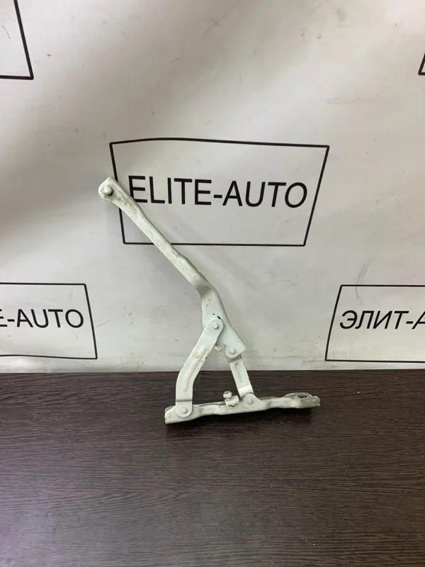 Петля капота KIA K5 2022 66910L2000 2.0, левая
