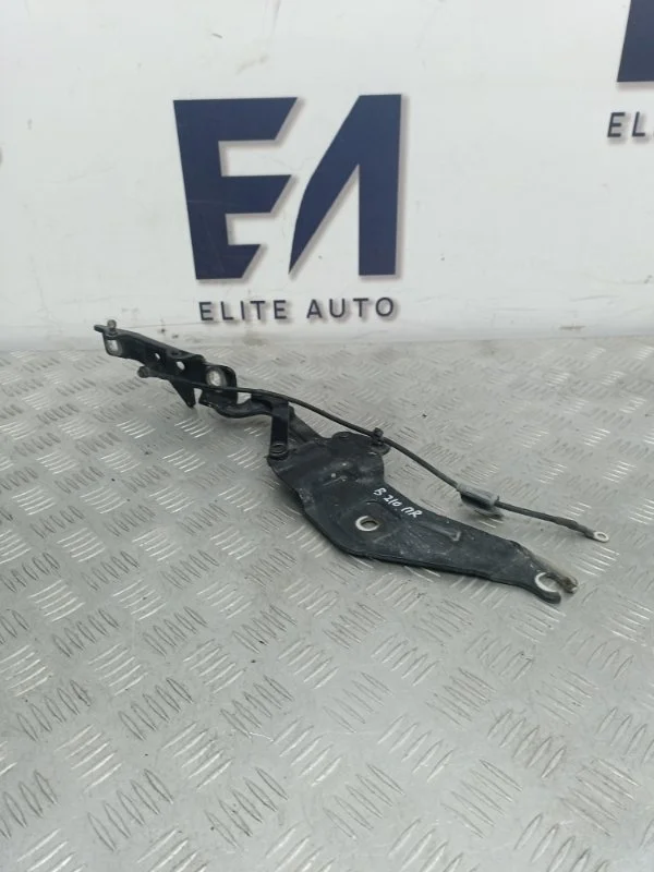 Петля капота BMW X6 2010 41007198618 E71 3.0, правая