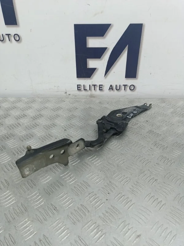 Петля капота BMW X6 2010 41007198617 E71 3.0, левая