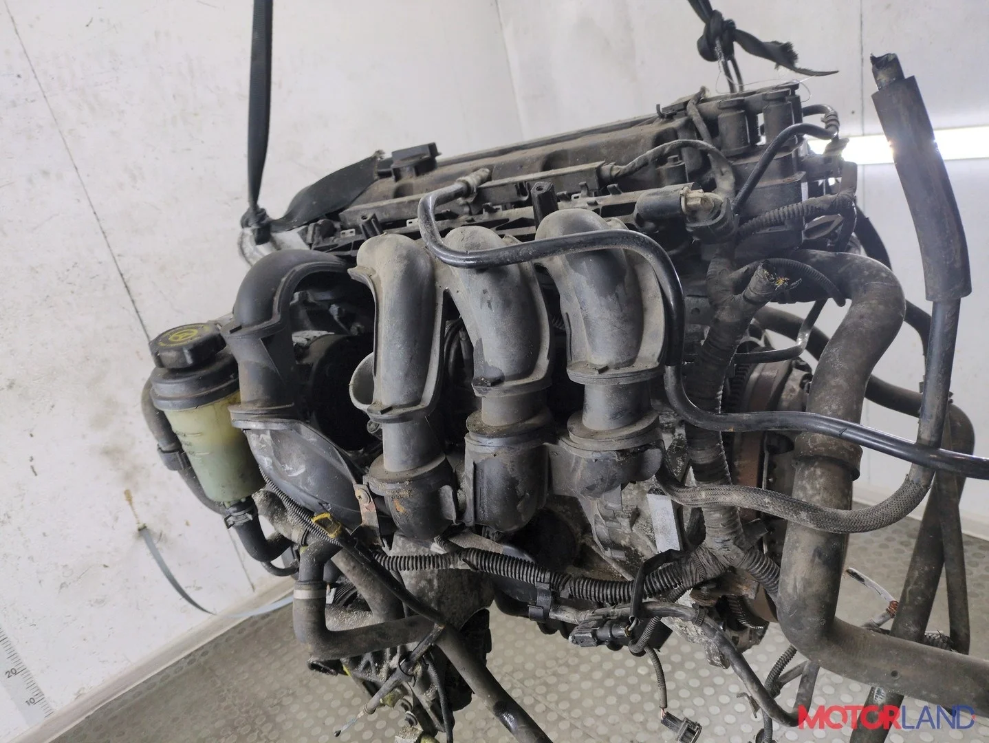 Двигатель (ДВС) Ford Focus 2 2008-2011 КПП 5-ст.мех.(МКПП) SHDA, SHDC Бензин 1.6 л Инжектор