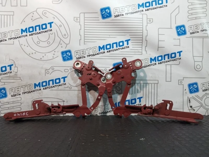 Петли капота BMW 1-Series 41617286343 F20 N13B16A