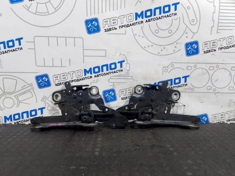 Петли капота BMW 1-Series 2012 41617286343 F20 N13B16A