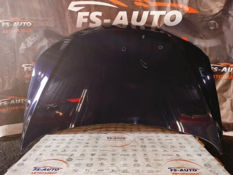 Капот Hyundai Santa-Fe 2 2011 664002B500 SUV 2.2 D4HB