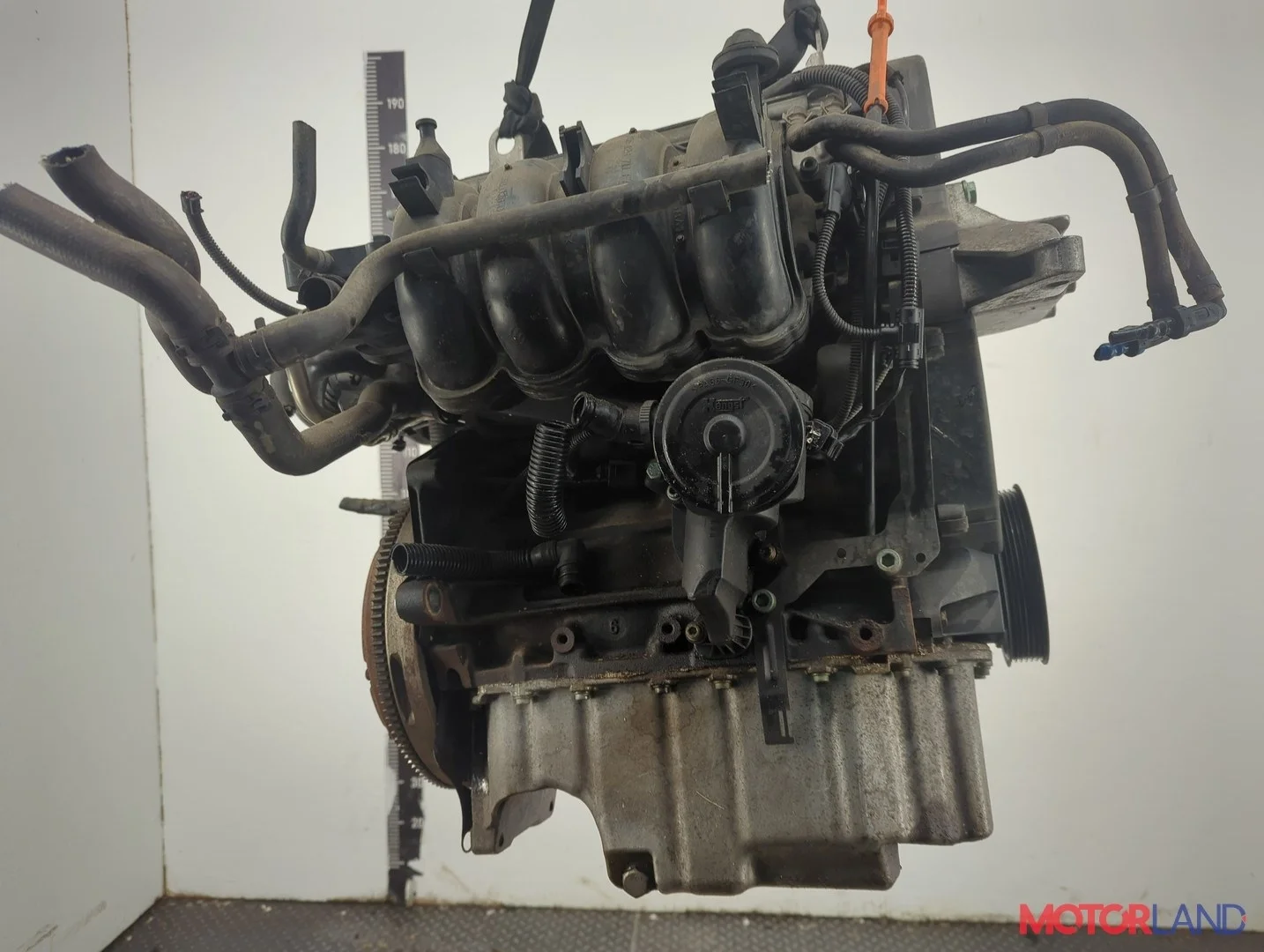 Двигатель (ДВС) Seat Leon 1999-2006 КПП 5-ст.мех.(МКПП) BCB Бензин 1.6 л Инжектор