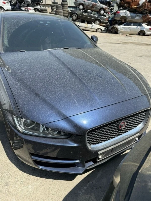 Ноускат Jaguar XE 2016 T4N3431 204DTD