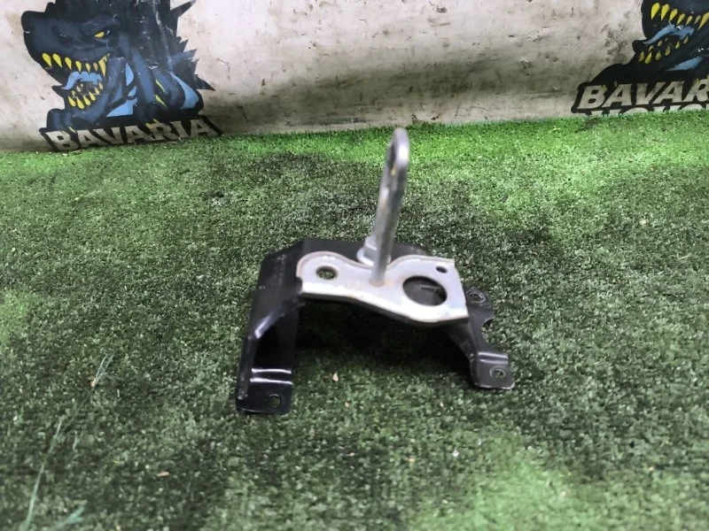 Петля замка капота BMW X5 2016 51237325992 F15 N57D30A