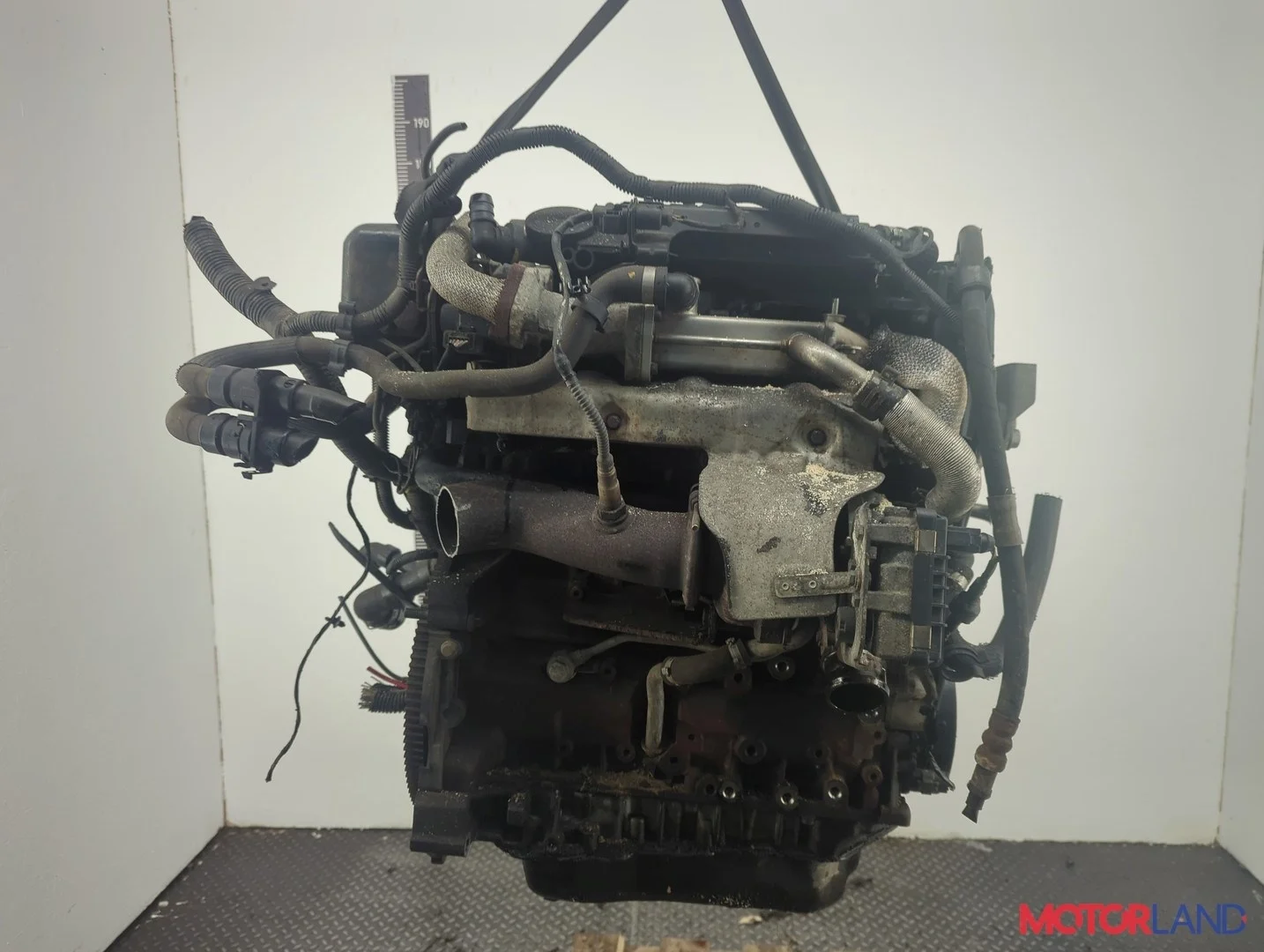 Двигатель (ДВС) Land Rover Freelander 2 2006-2014 КПП автомат 4х4 (АКПП) 224DT Дизель 2.2 л Турбо