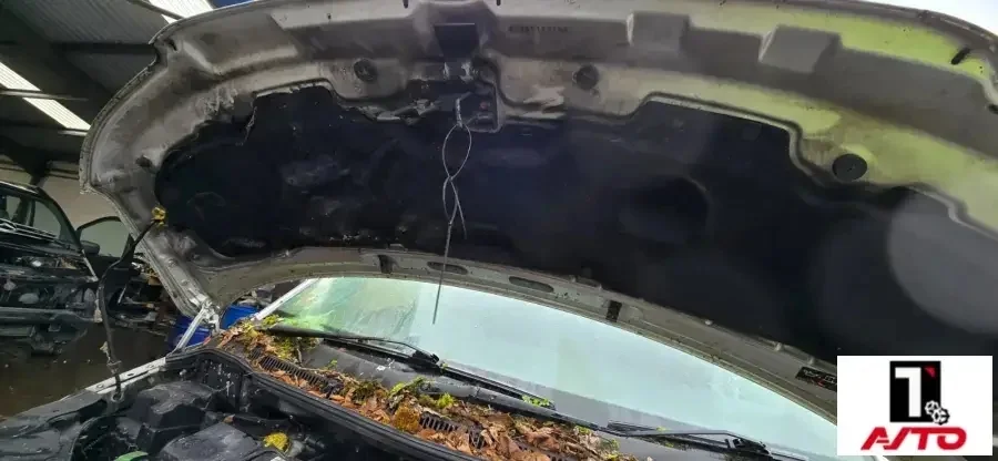 Двигатель,AXE,Volkswagen Transporter T5 2003