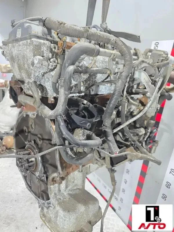 Двигатель,Yd25,Nissan Cabstar 3 2010