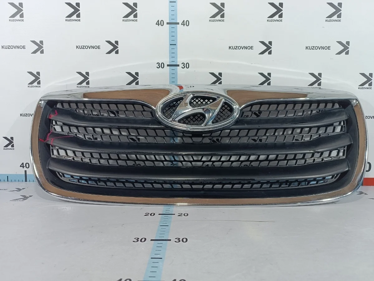 Решетка радиатора Hyundai Santa Fe 2010 CM