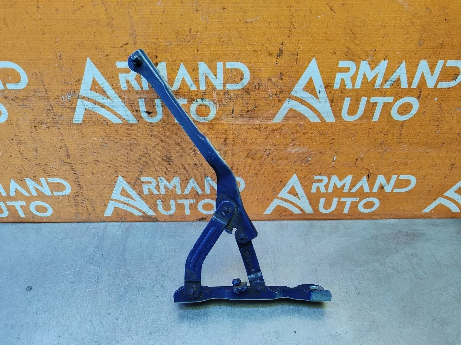 Петля капота Kia K5 2019-нв 66910L2000 3, левая