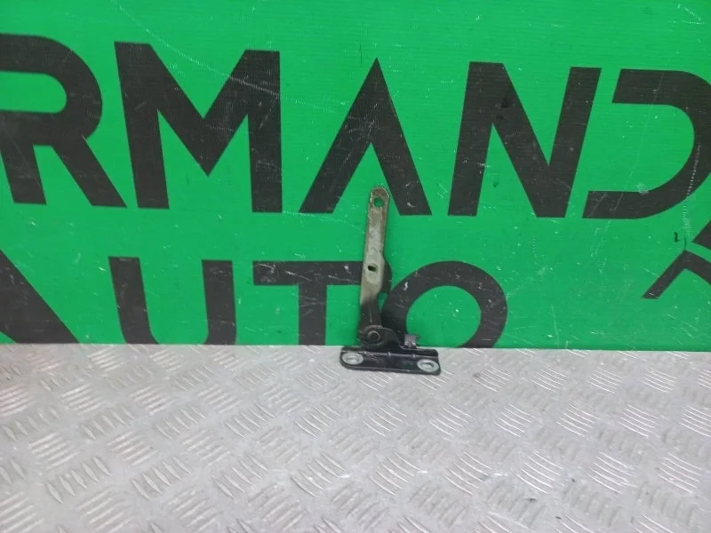 Петля капота Renault Logan 2004-2015 6001546875 1, левая