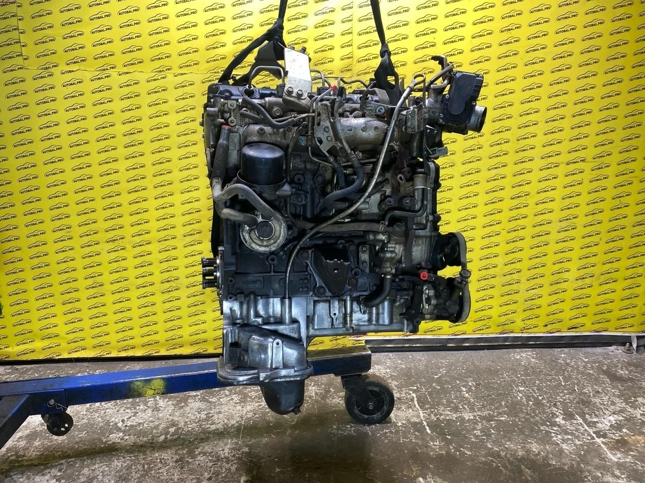 Двигатель Nissan Navara (D40) 2004-2015 2012 101025X00A ПИКАП 2.5 D YD25DDTI