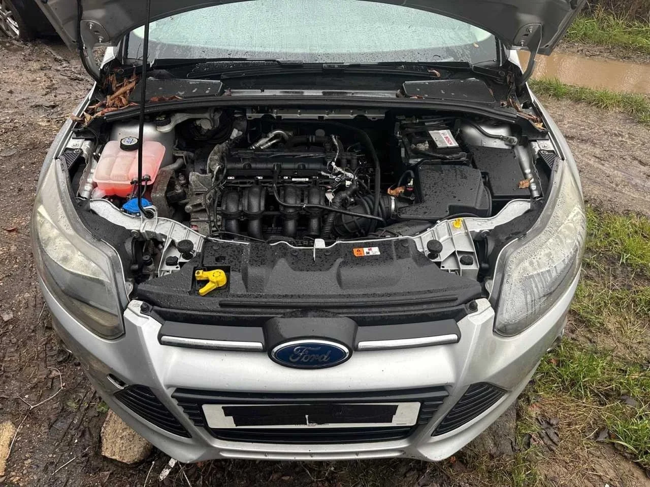 Двигатель Ford Focus IQDB 3