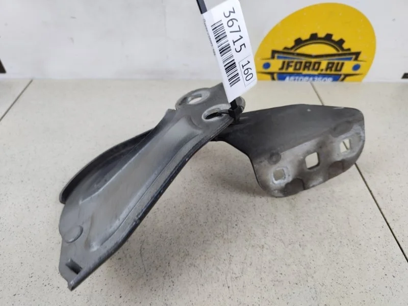 Петля капота Ford Focus 3 2011 CB8