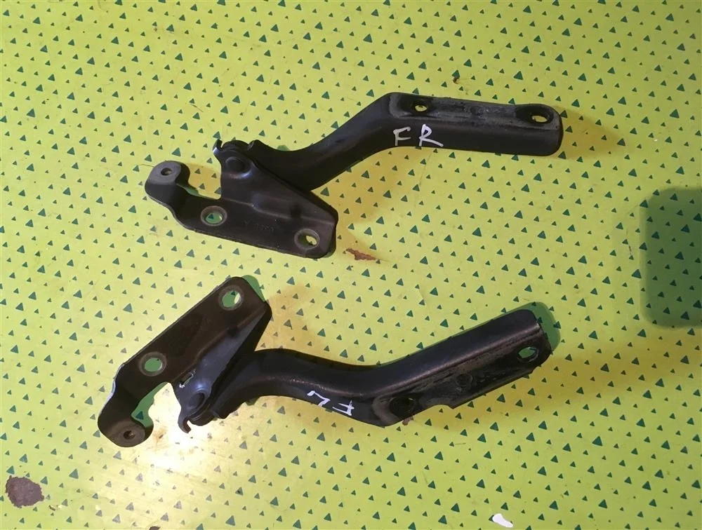 Петля капота FL (только парой)