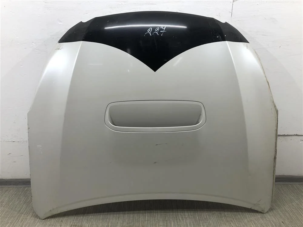 Капот ТУРБО в сборе белый (без утеплителя)