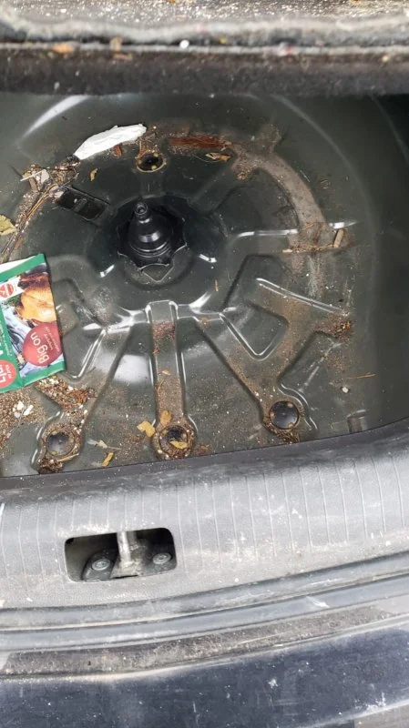 Продажа Opel Insignia 1.8 (140Hp) (18XER) FWD MT по запчастям