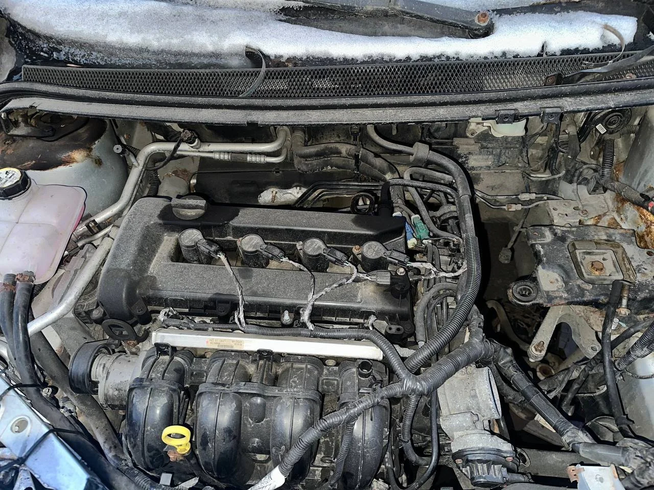 Продажа Ford Focus 2.0 (145Hp) (AODA) FWD MT по запчастям