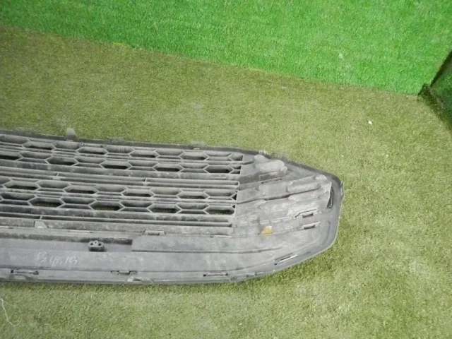 Решетка радиатора для Ford EcoSport 2012-2019 на фотографиях