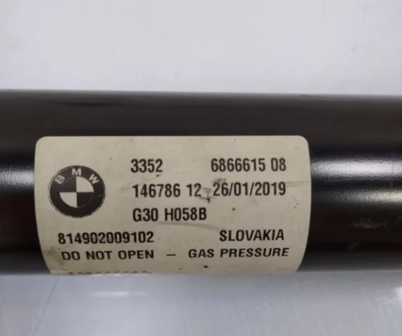 Амортизаторы задние (комплект) для BMW 5er G30 2016-2023 на фотографиях