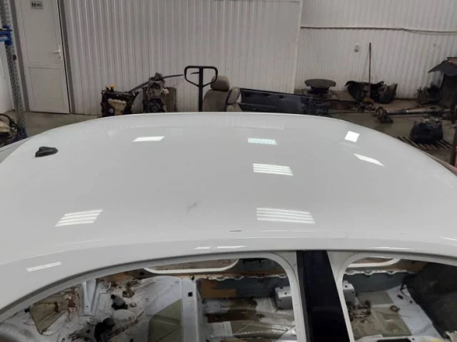 Крыша для Skoda Rapid I rest NH3 2017-2020 на фотографиях