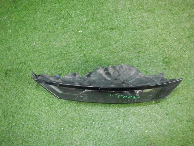 Противотуманка (ПТФ) передняя левая для Skoda Rapid I rest NH3 2017-2020 на фотографиях