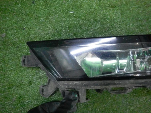 Противотуманка (ПТФ) передняя левая для Skoda Rapid I rest NH3 2017-2020 на фотографиях