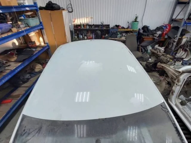 Крыша для Skoda Rapid I rest NH3 2017-2020 на фотографиях