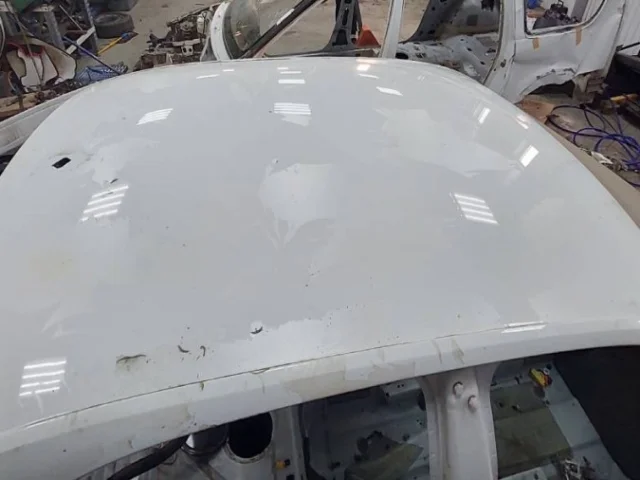 Крыша для Skoda Rapid I rest NH3 2017-2020 на фотографиях