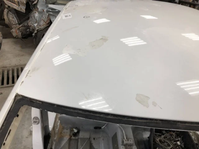 Крыша для Skoda Rapid I rest NH3 2017-2020 на фотографиях