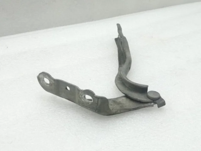 Петля капота левая для Skoda Rapid I rest NH3 2017-2020 на фотографиях