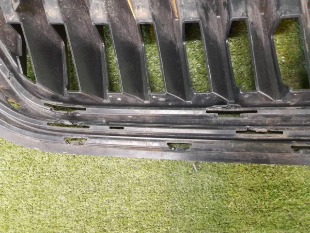 Решетка радиатора для Skoda Rapid II 2020+ на фотографиях