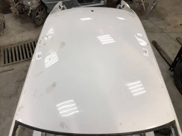 Крыша для Skoda Rapid I rest NH3 2017-2020 на фотографиях