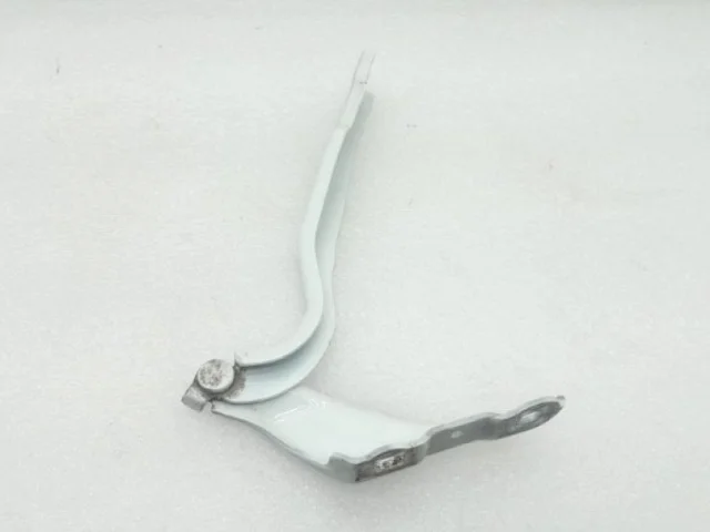 Петля капота левая для Skoda Rapid I rest NH3 2017-2020 на фотографиях