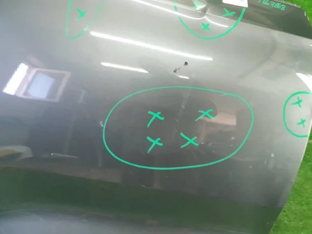 Дверь (в сборе) задняя правая для Skoda Rapid II 2020+ на фотографиях