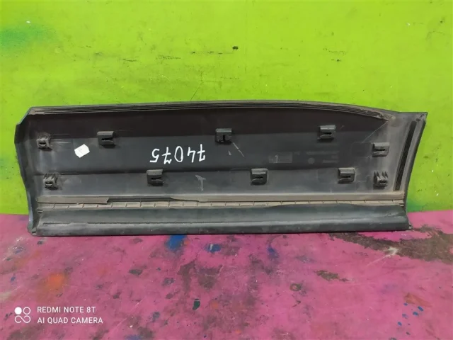 Молдинг двери задний правый для Volkswagen Tiguan I NF 2006-2017 на фотографиях