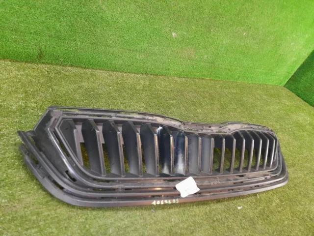 Решетка радиатора для Skoda Rapid II 2020+ на фотографиях