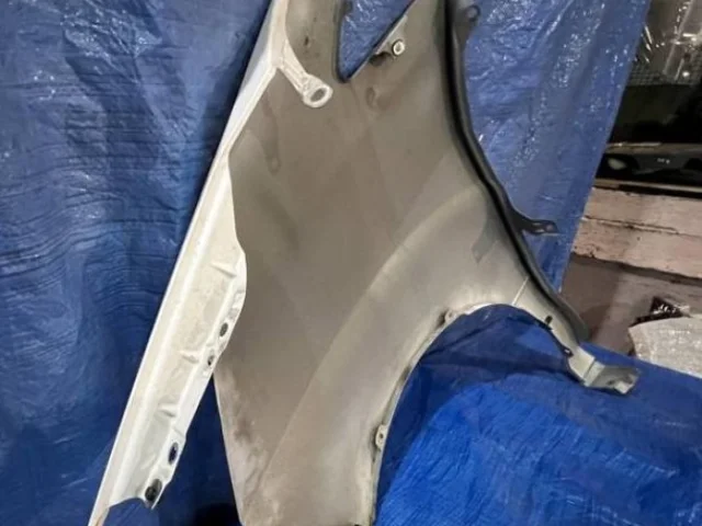 Крылья для Toyota Alphard H10 2002-2008 на фотографиях