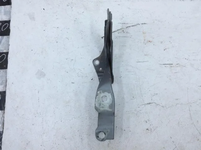 Петля капота левая для Hyundai Solaris 1 RB (2011-2013) на фотографиях