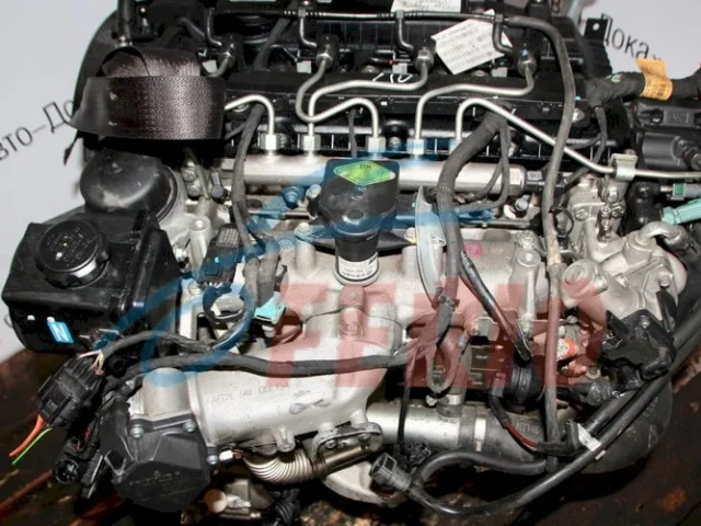 Продажа двигателя D20DTR