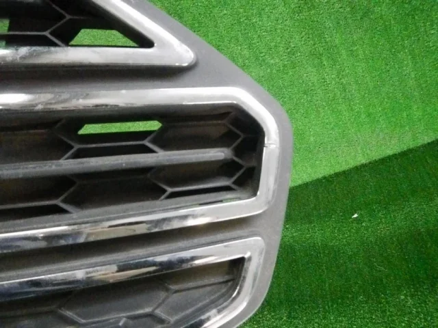 Решетка радиатора для Ford EcoSport 2012-2019 на фотографиях